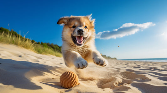 Walking In Pawradise: A Pup's Guide To Outdoor Adventures