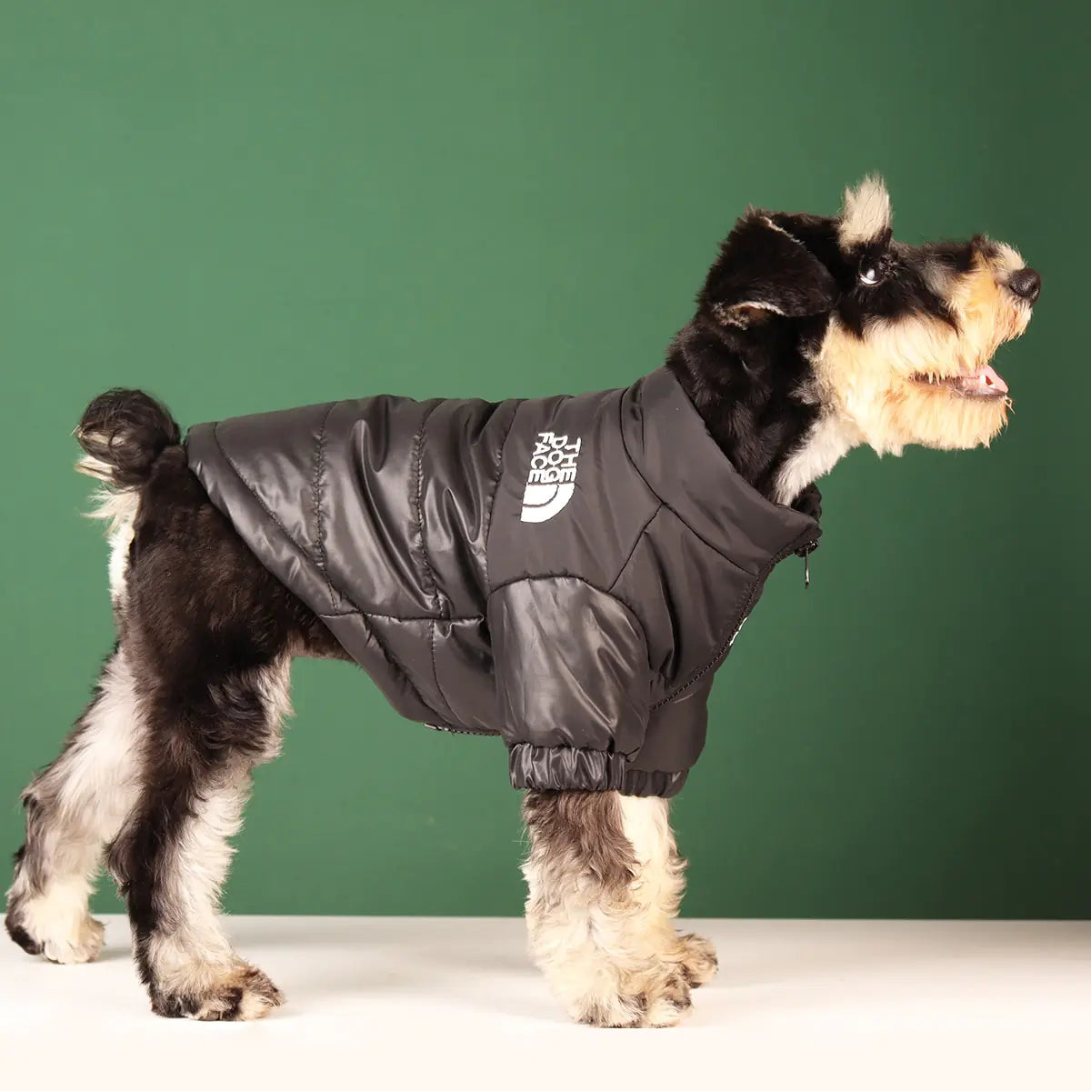The Dog Face Winter Jacket