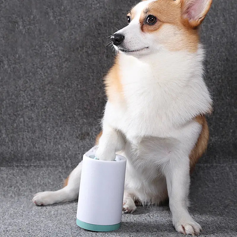 Dog Paw Washer