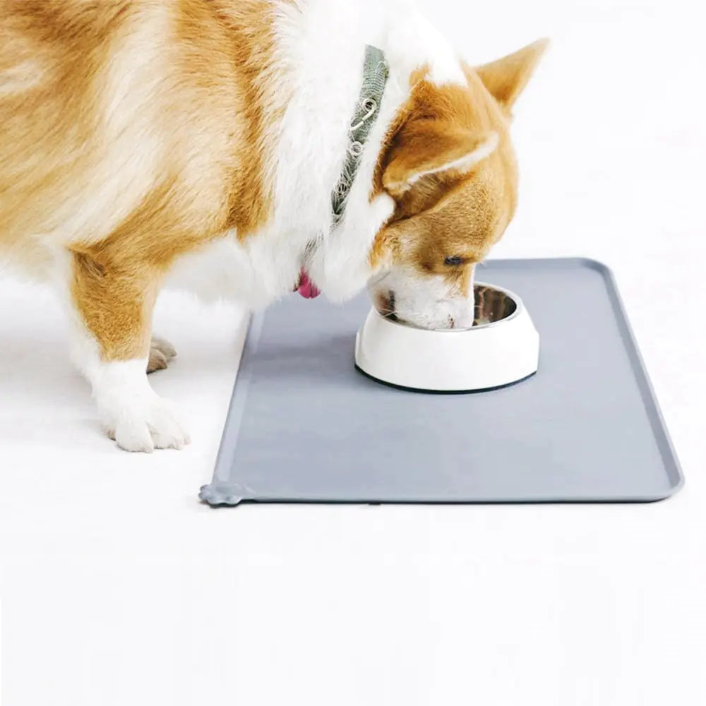 Silicone Dog Bowl Mat